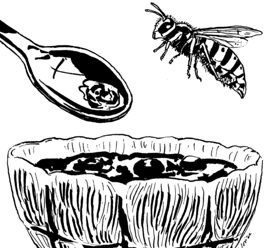 Löffel und Wespe kämpfen um das Dessert