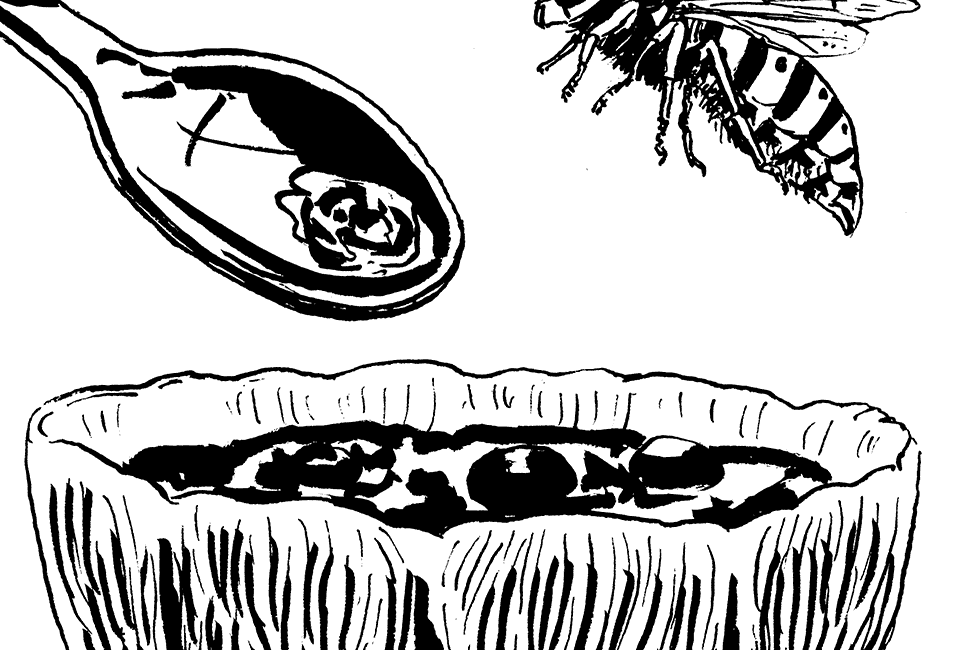 Löffel und Wespe kämpfen um das Dessert