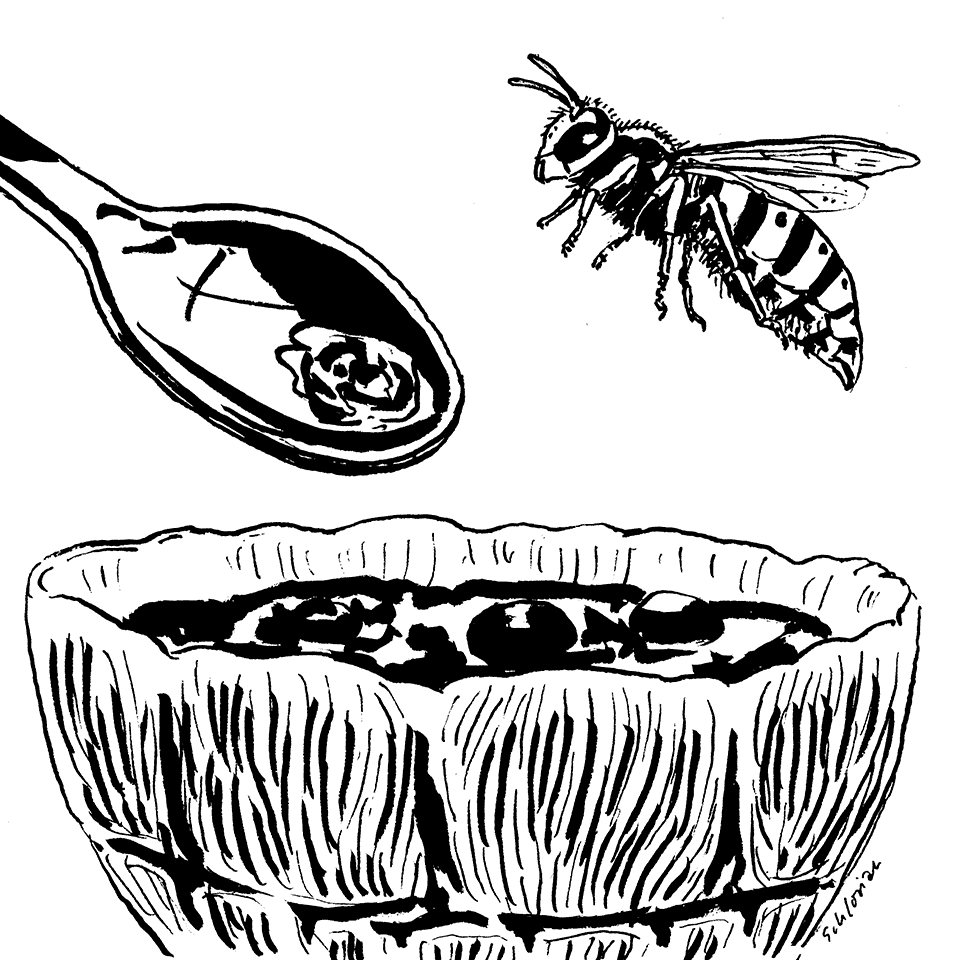 Löffel und Wespe kämpfen um das Dessert