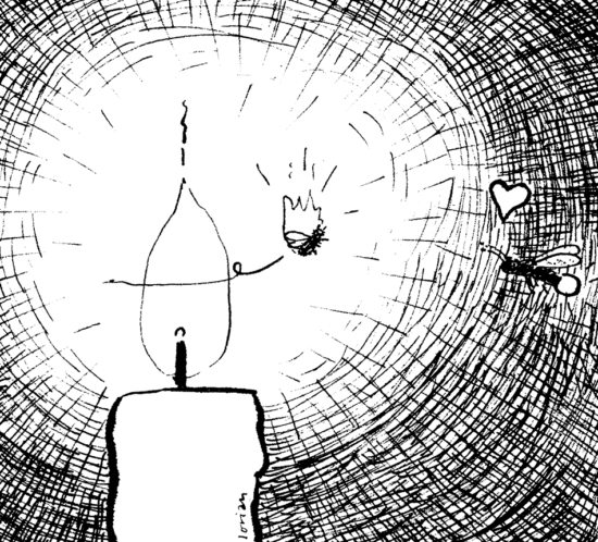 Der Leuchtkäfer verliebt sich.