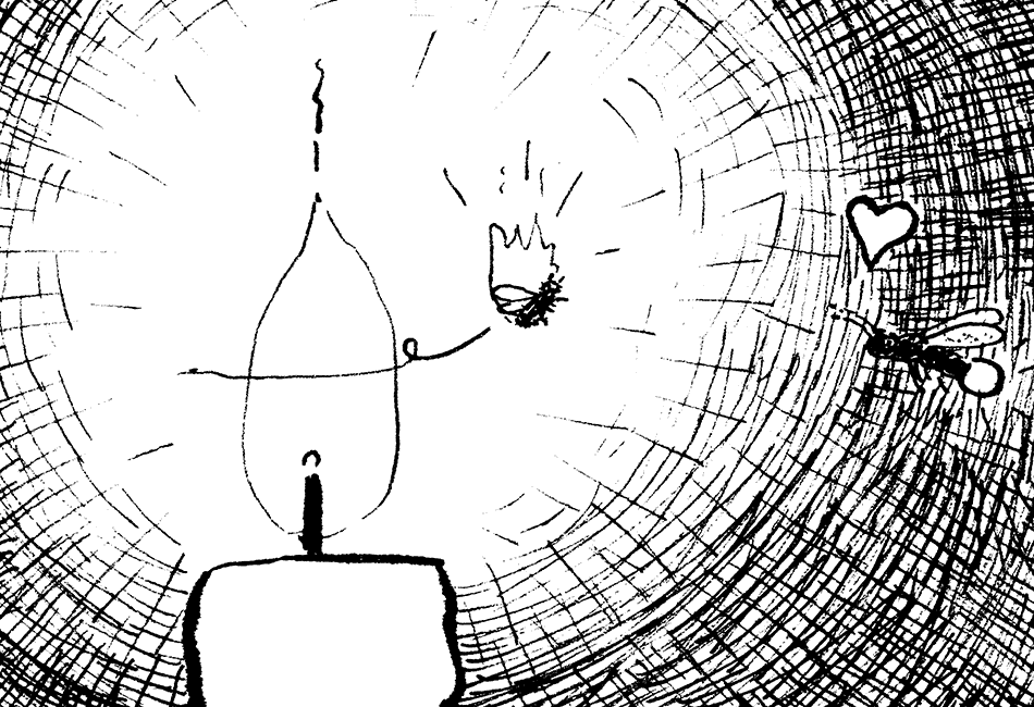 Der Leuchtkäfer verliebt sich.