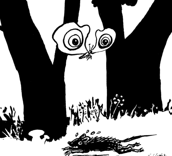 Eine Eule?? – Schnell weg da!