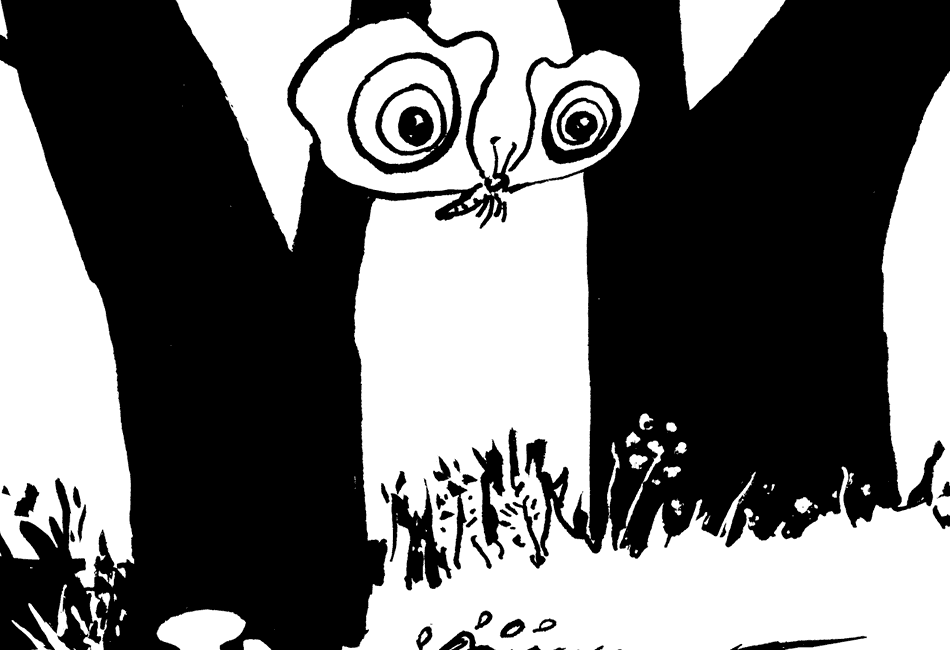 Eine Eule?? – Schnell weg da!