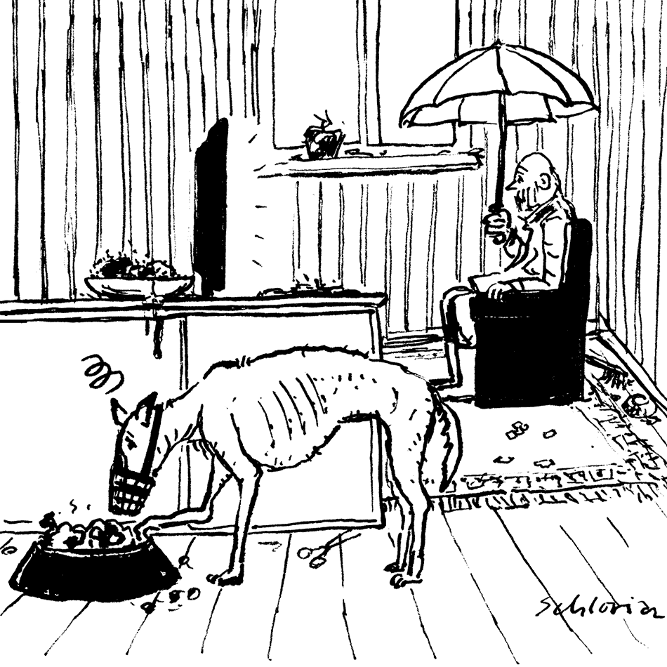 Wenn das Herrchen Demenz hat …