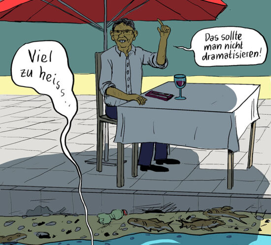 Fisch und Rösti