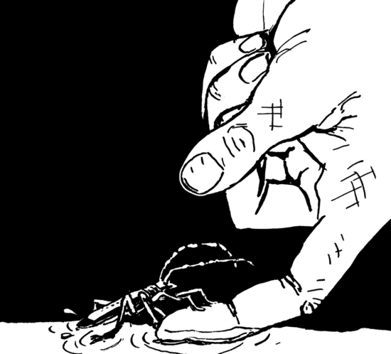 einen Käfer retten
