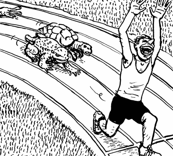 Mann gewinnt Rennen vor Kröte und Schildkröte