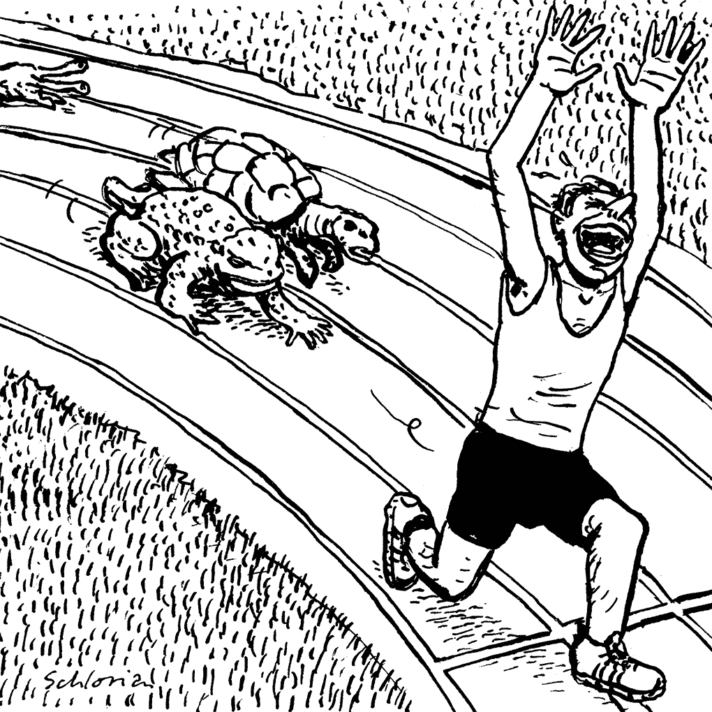 Mann gewinnt Rennen vor Kröte und Schildkröte