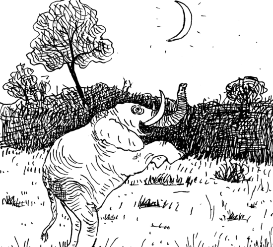 Elefant freut sich über Stosszahn am Himmel