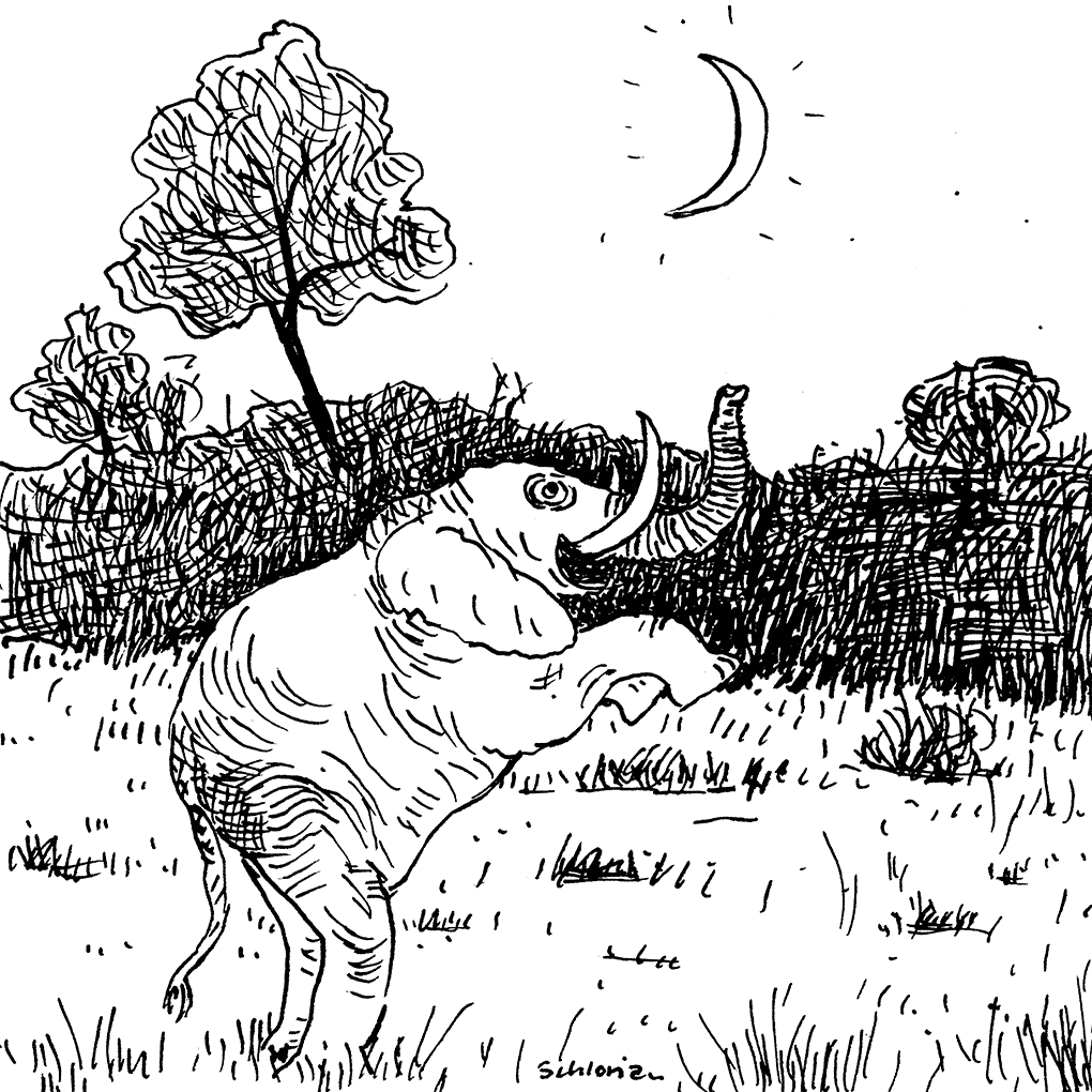Elefant freut sich über Stosszahn am Himmel